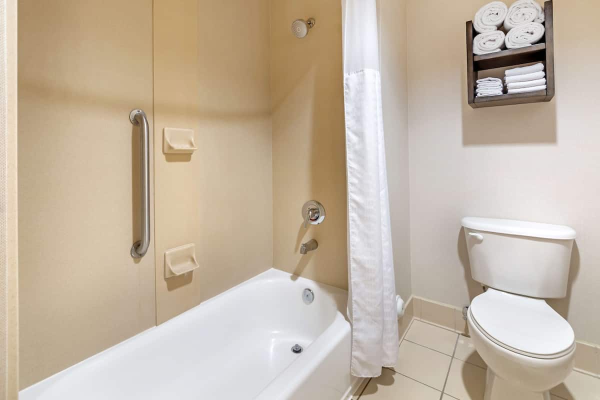 combined shower/bathtub, free toiletries, hair dryer, towels