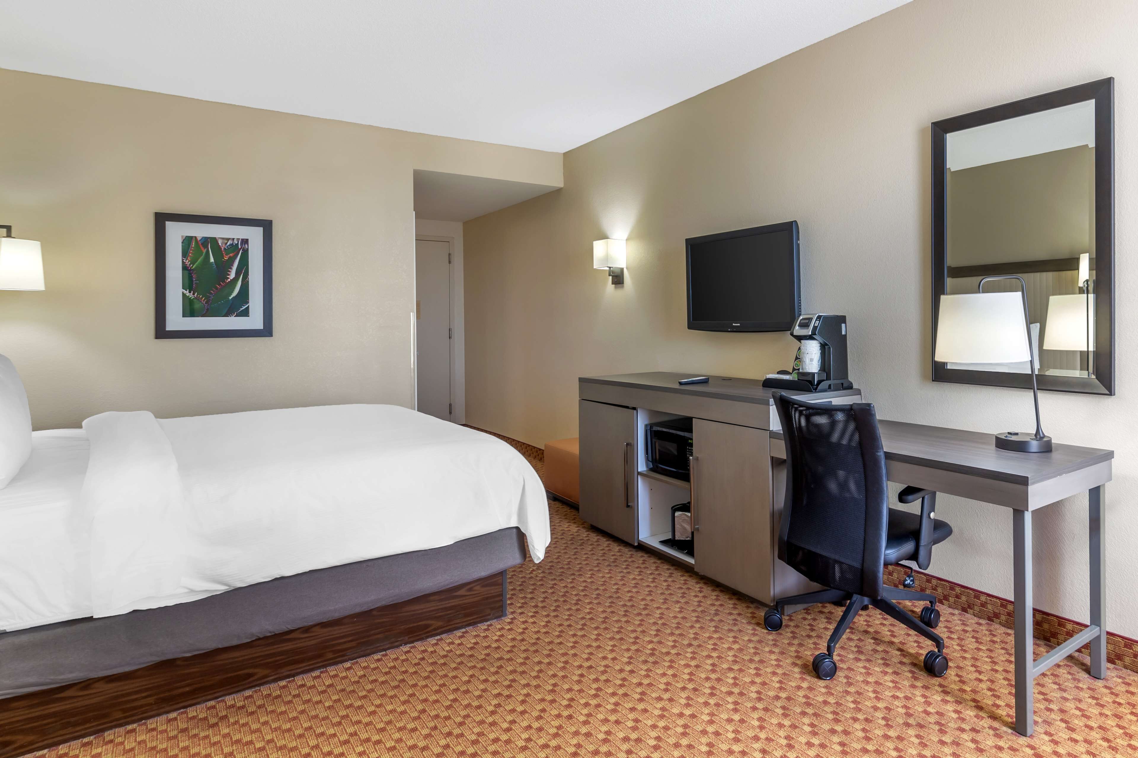 A hotel room with a bed, desk, chair, television, and a framed picture on the wall.