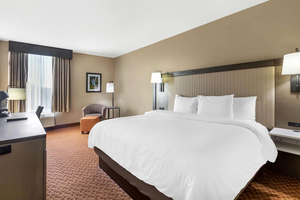 Business Room, 1 King Bed, Non Smoking, Refrigerator | 1 bedroom, in-room safe, desk, laptop workspace