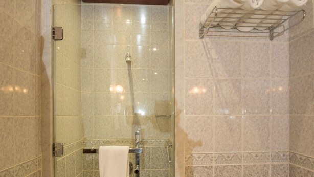 A glass-enclosed shower with a marble floor, a towel rack with towels, and a toilet paper holder on the wall. - Century Park Hotel (Amman)