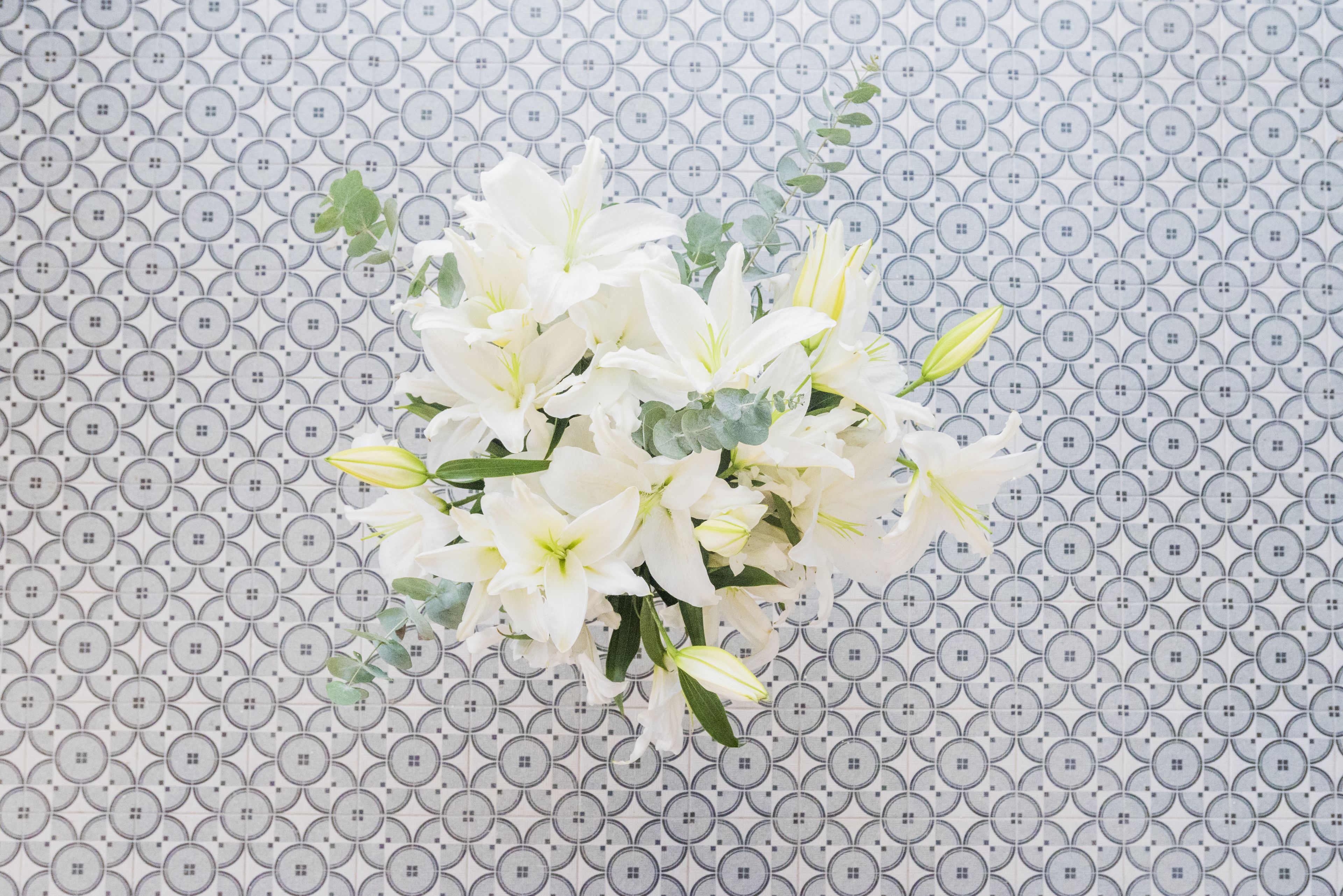 Foto - Hôtel Lucien