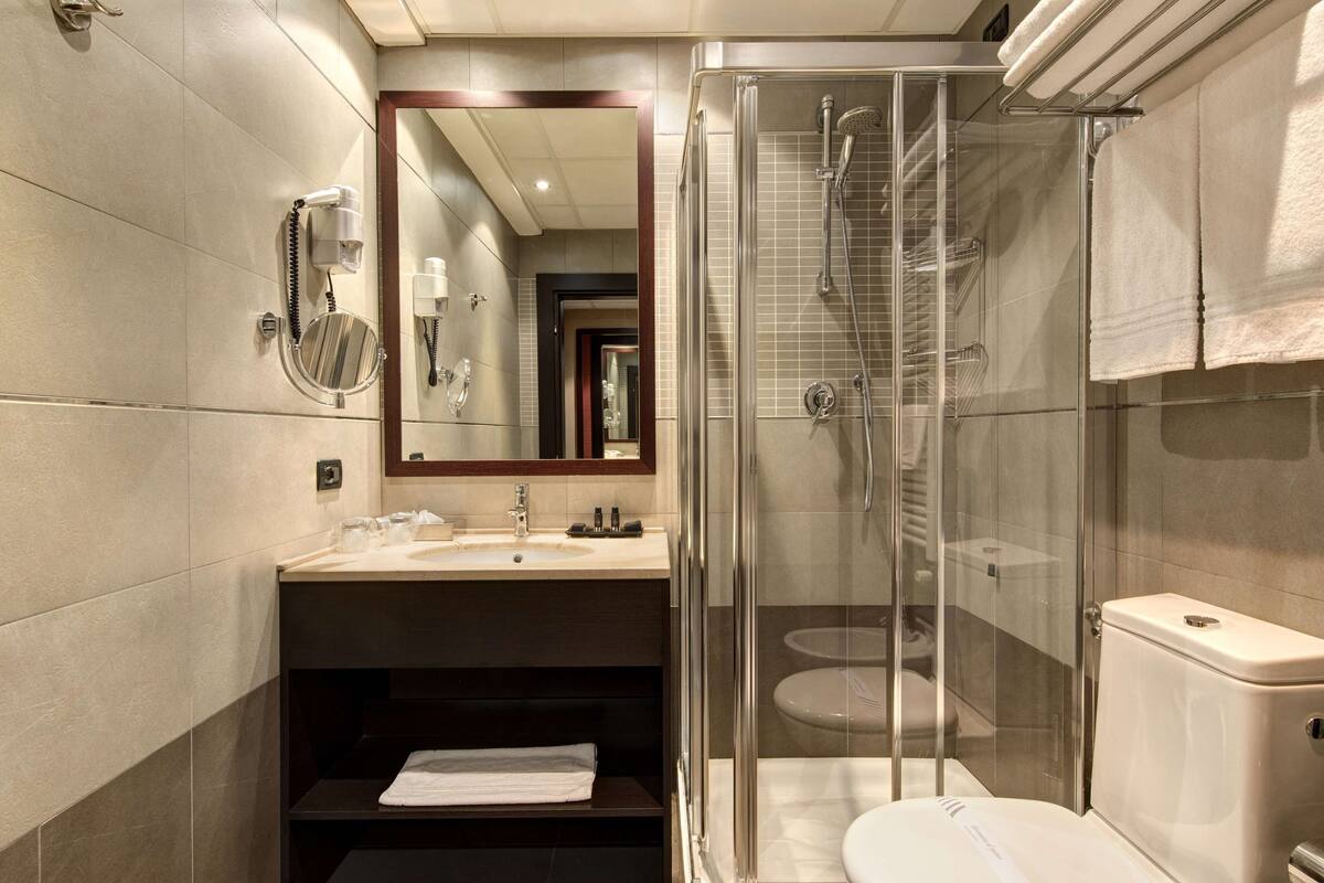 combined shower/bathtub, free toiletries, hair dryer, bidet