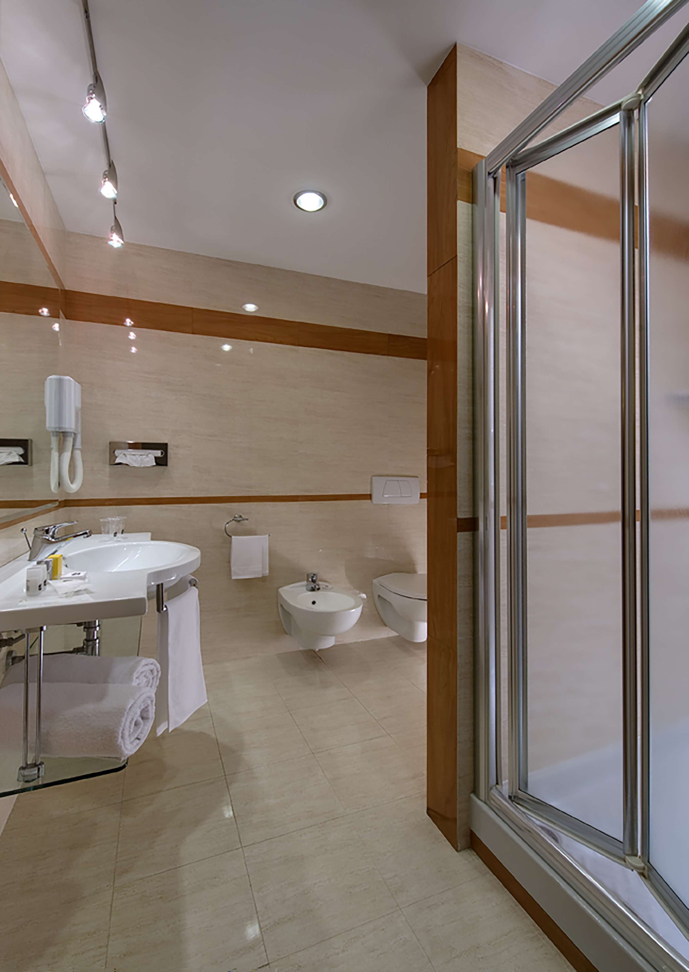 shower, hair dryer, bidet, towels