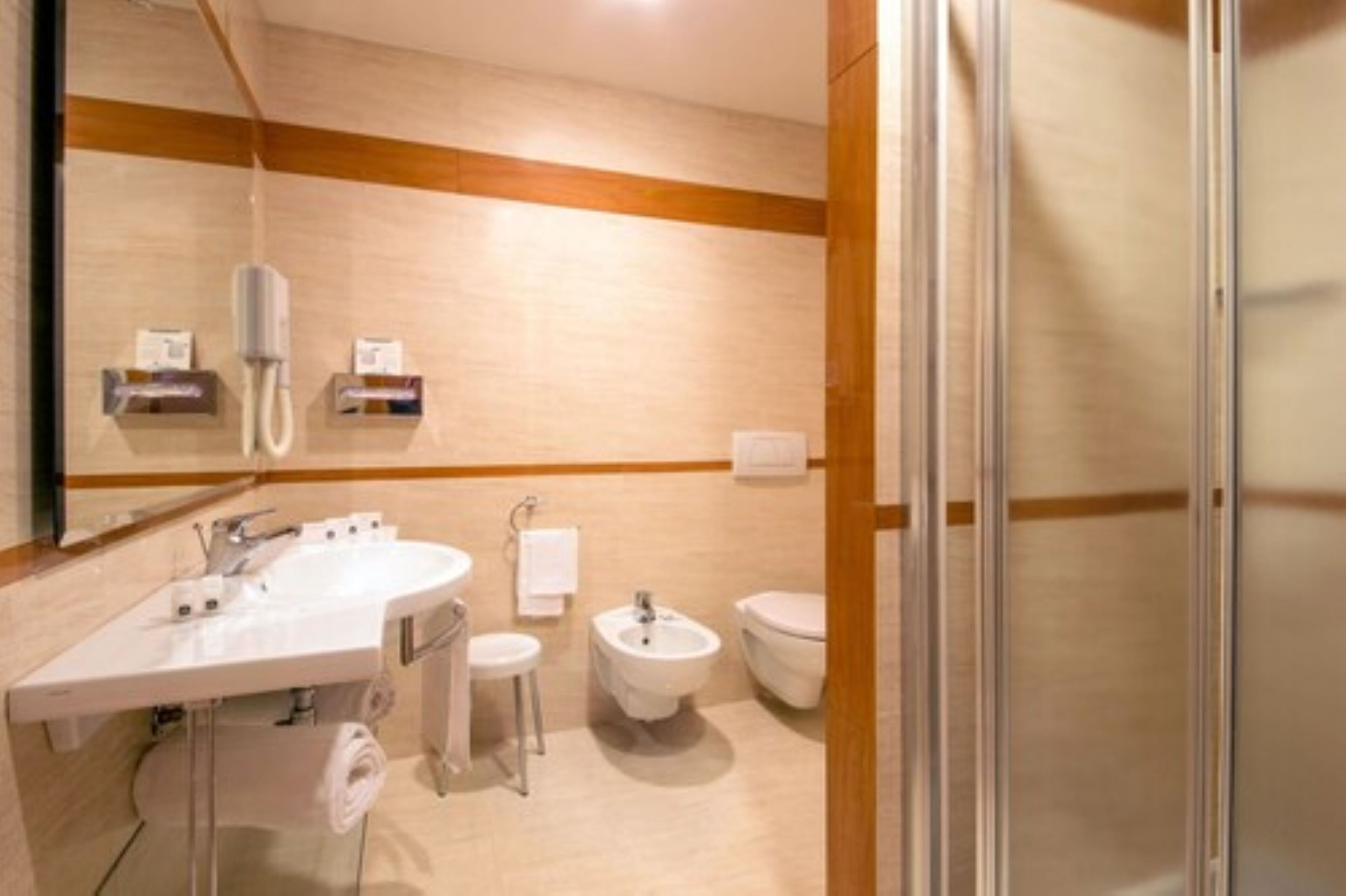 shower, hair dryer, bidet, towels