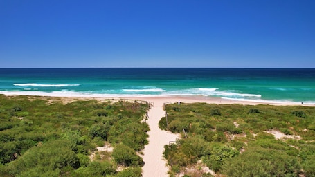 A beach with a sandy path leading to the ocean, surrounded by dense green vegetation.