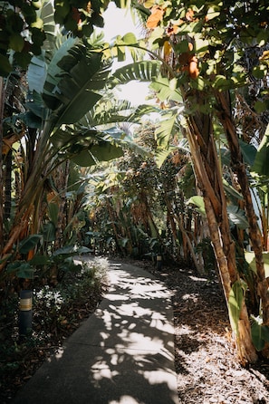 Exterior - Pullman Magenta Shores Resort (Magenta Shores)