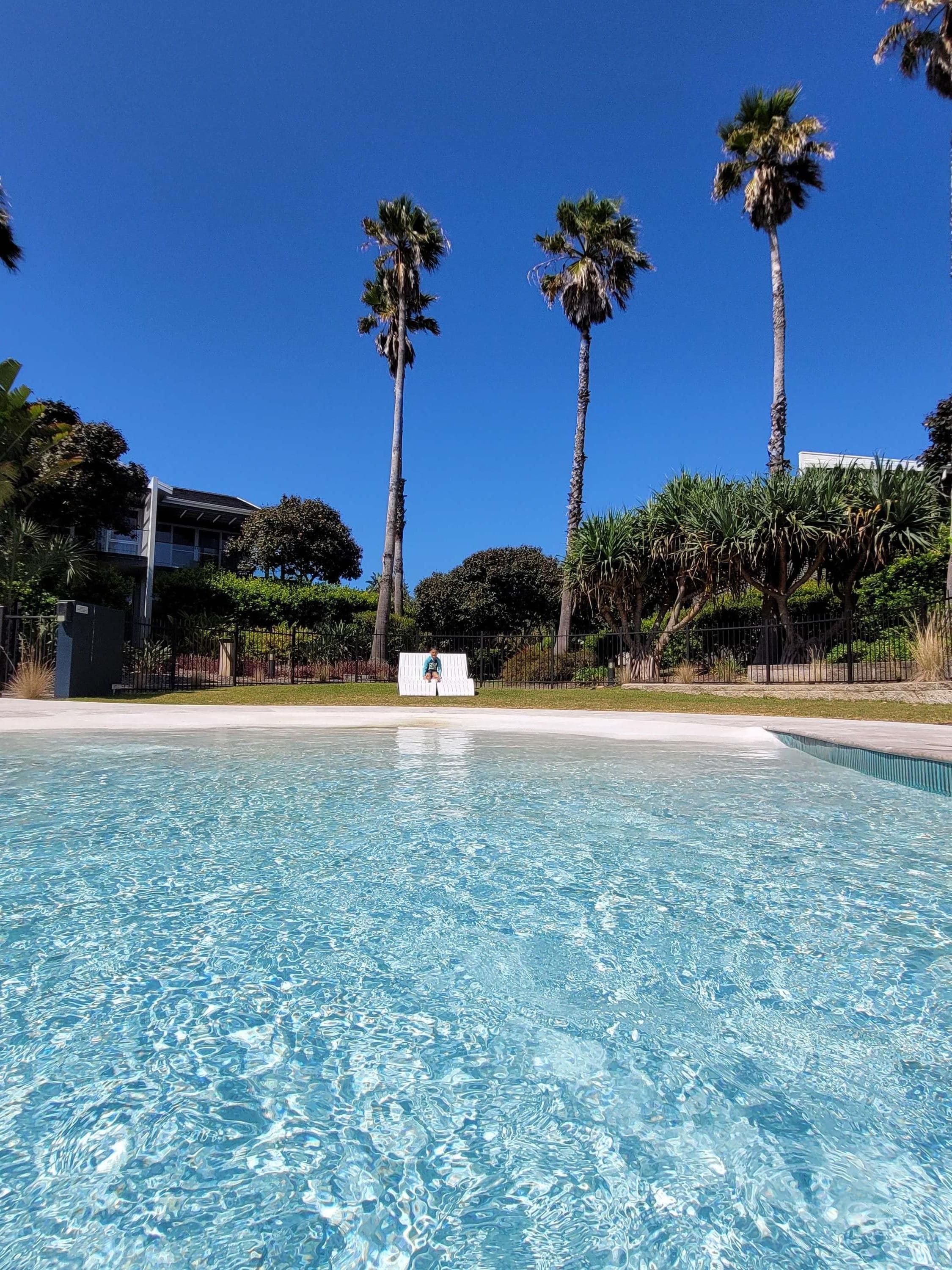 A clear blue pool with a person sitting on a white bench in the center. Tall palm trees and dense foliage surround the pool area.