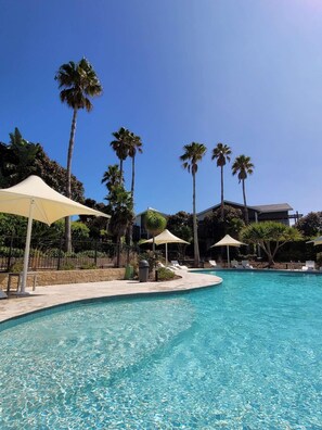 A clear blue pool surrounded by palm trees and lounge chairs.