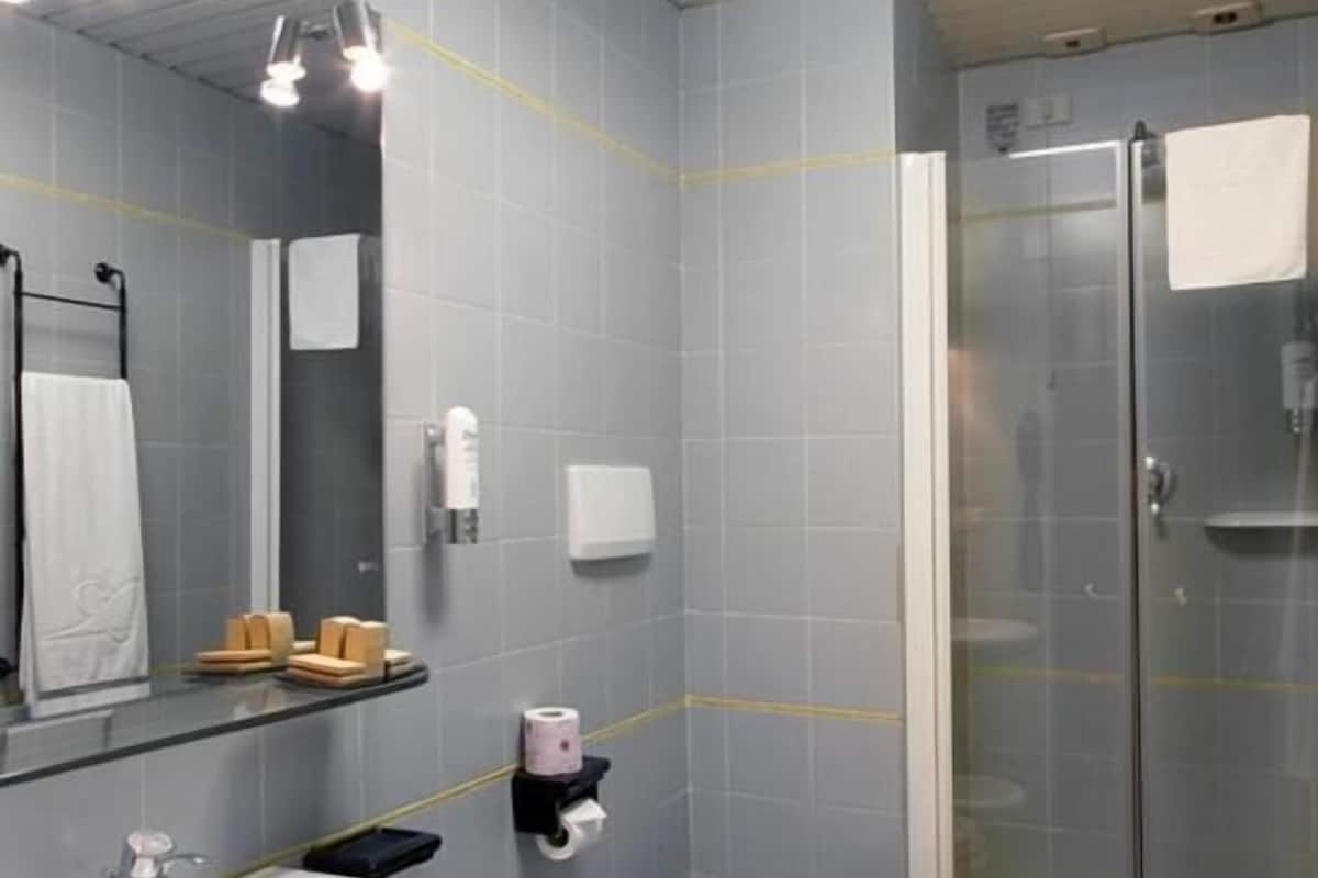 combined shower/bathtub, free toiletries, hair dryer, towels