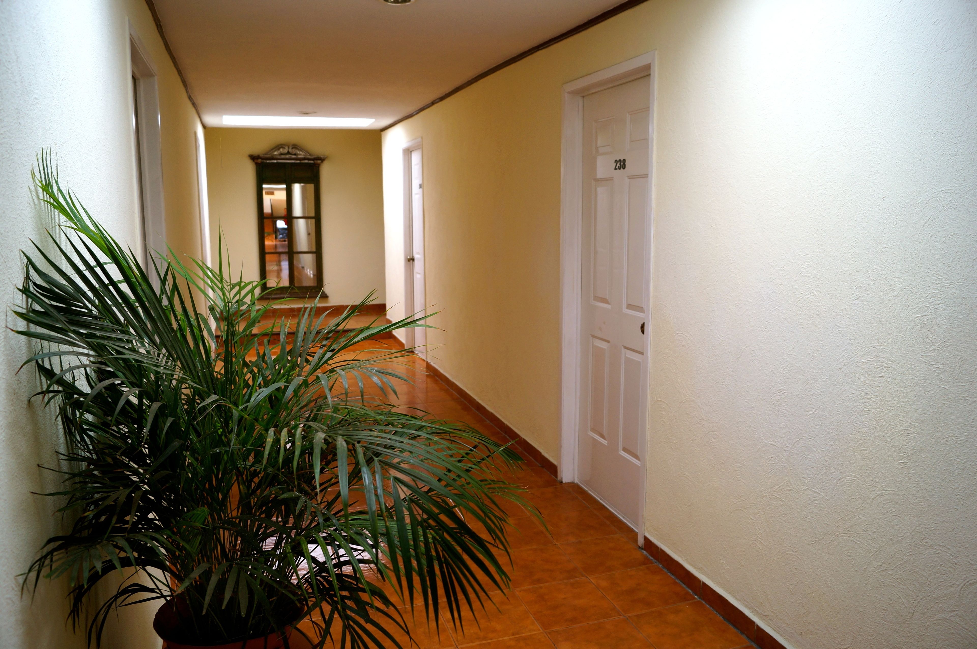 Foto - Hotel & Suites Villa del Sol