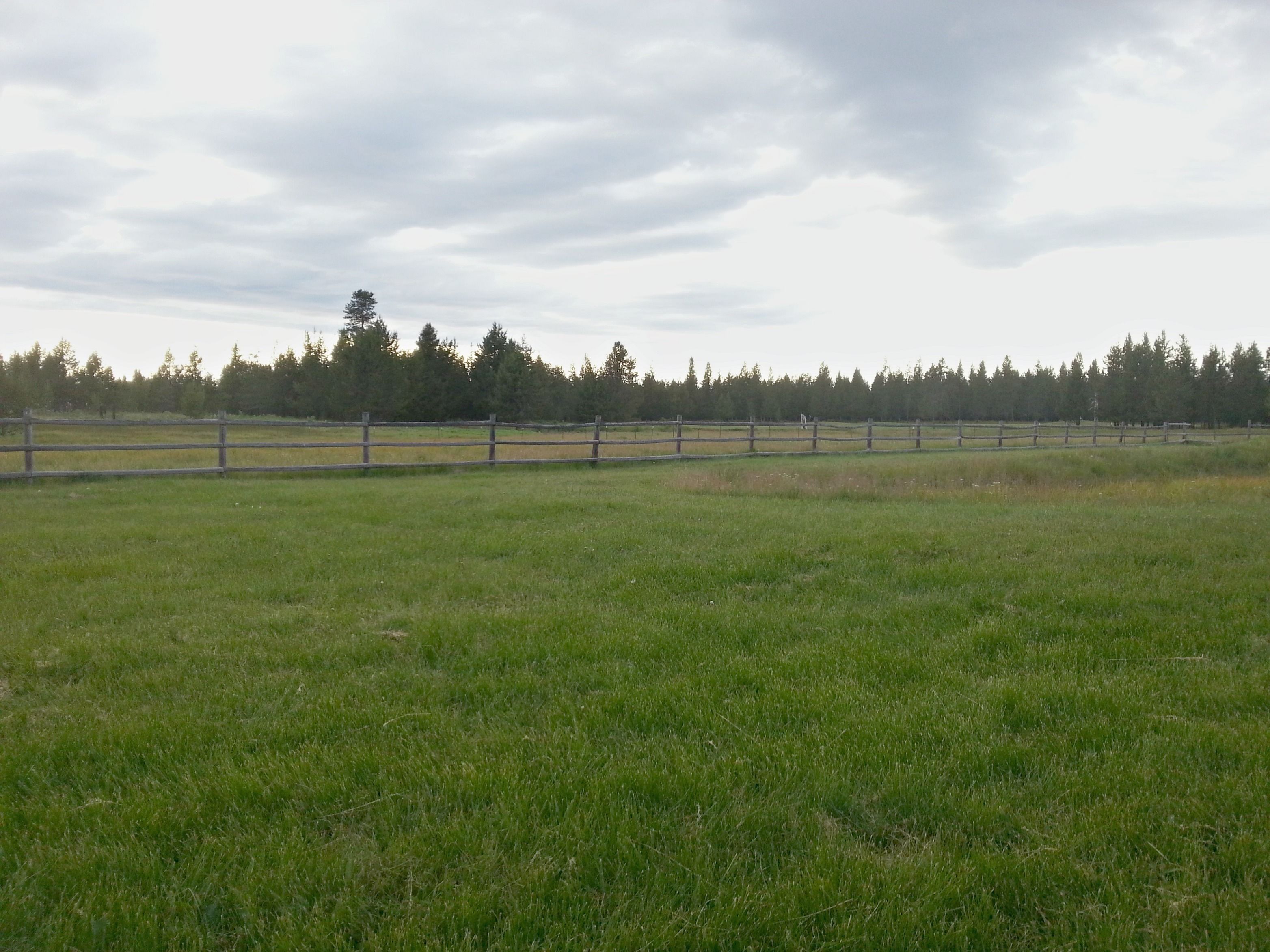 Un campo cercado con una hilera de árboles al fondo.