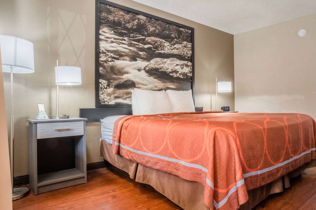 A hotel room with a bed, nightstands, a lamp, and a large framed picture of a river.
