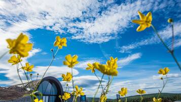 Un edificio moderno con fachada de vidrio curvada, rodeado de flores amarillas y un cielo azul despejado con nubes.