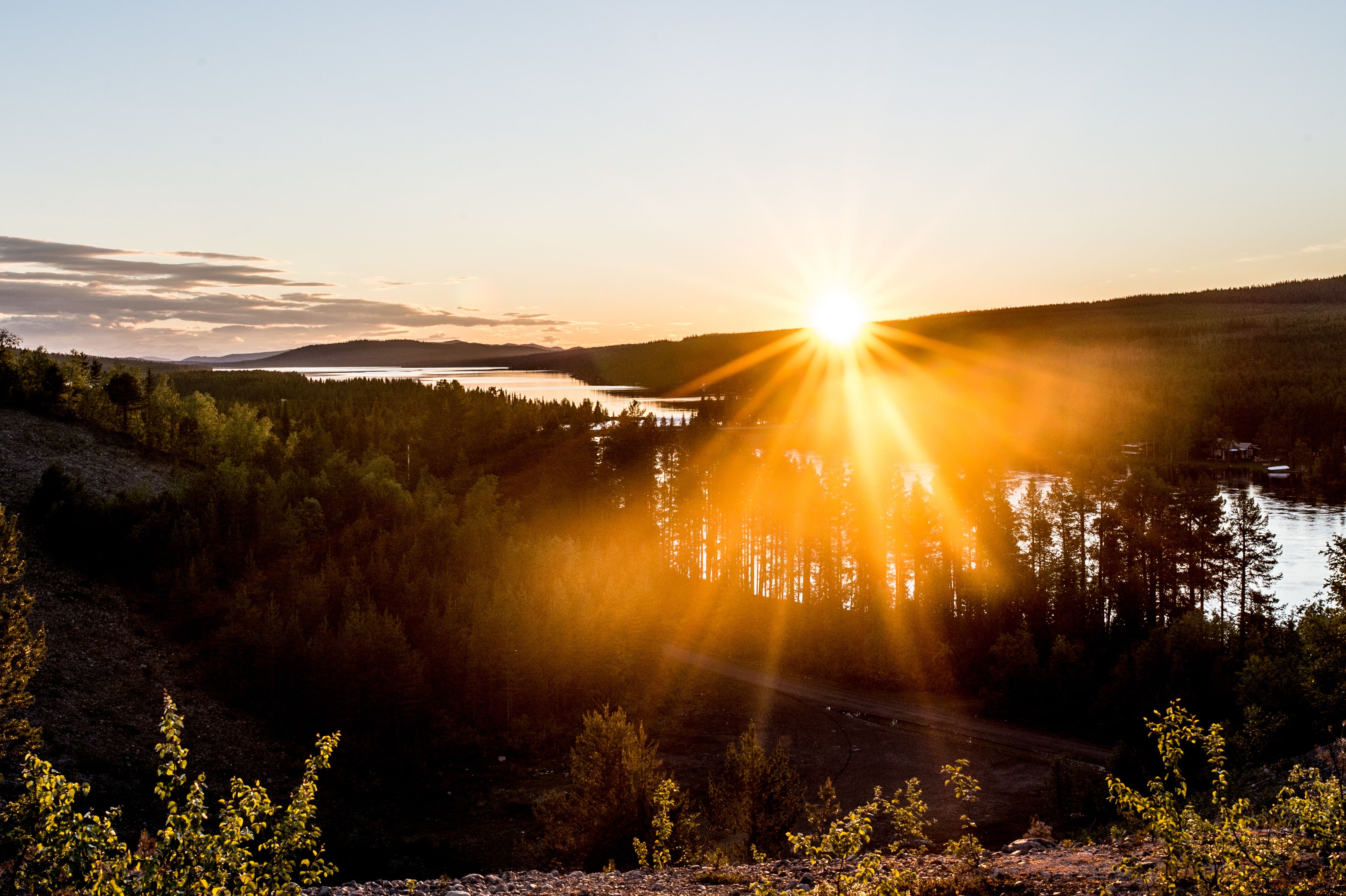 A forested landscape with a lake and a clear sky.