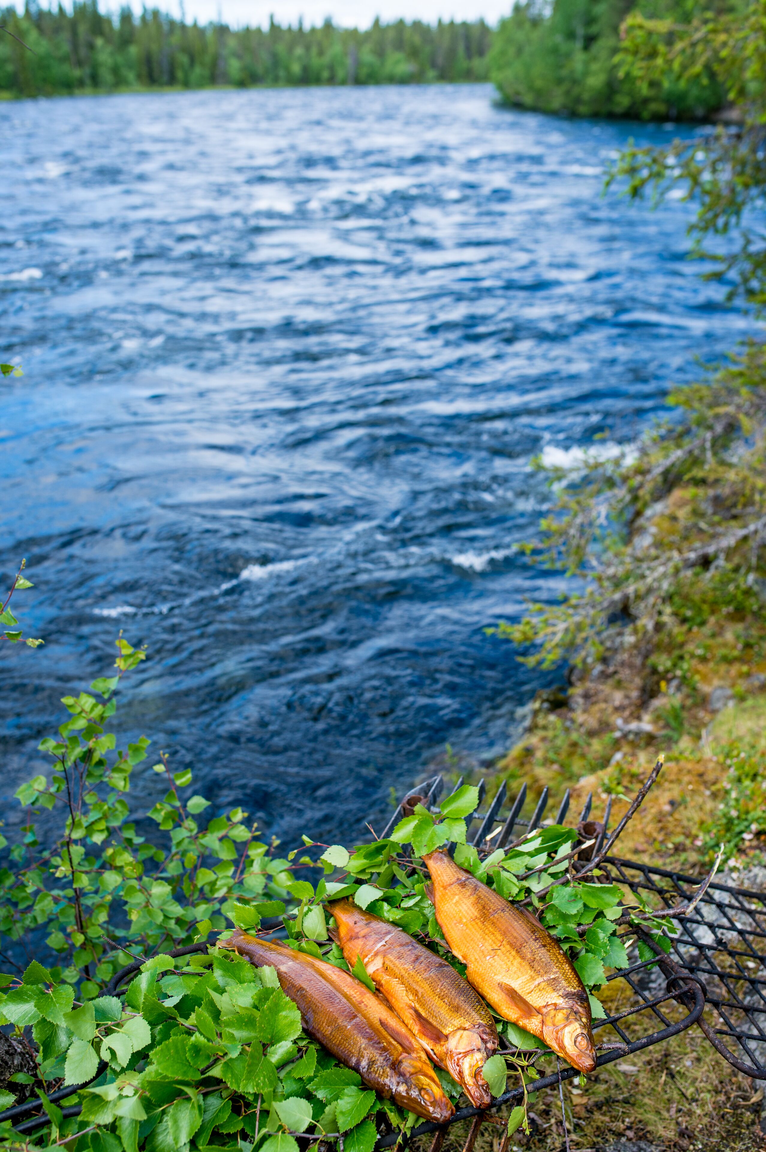 Un río con una parrilla de pescado en la orilla.