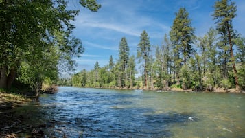A river surrounded by dense trees and clear skies.