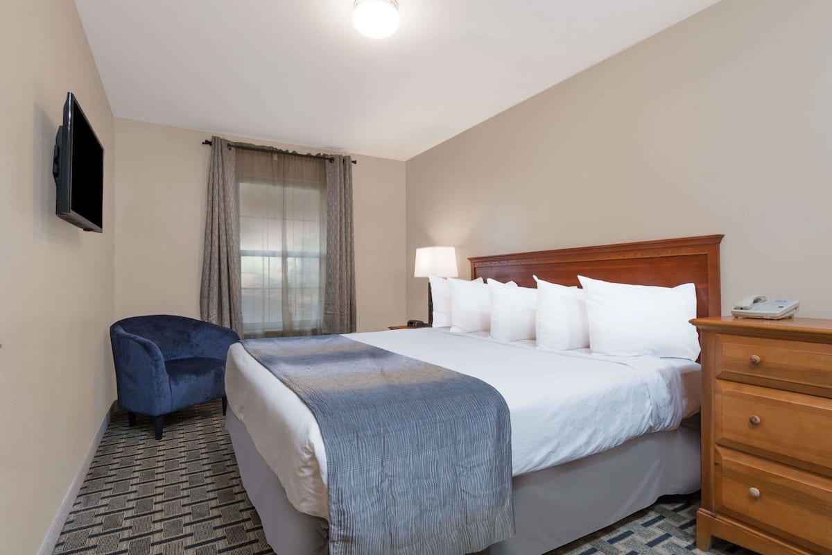 A hotel room with a bed, a desk, a chair, a TV, a lamp, and a phone on the bedside table.