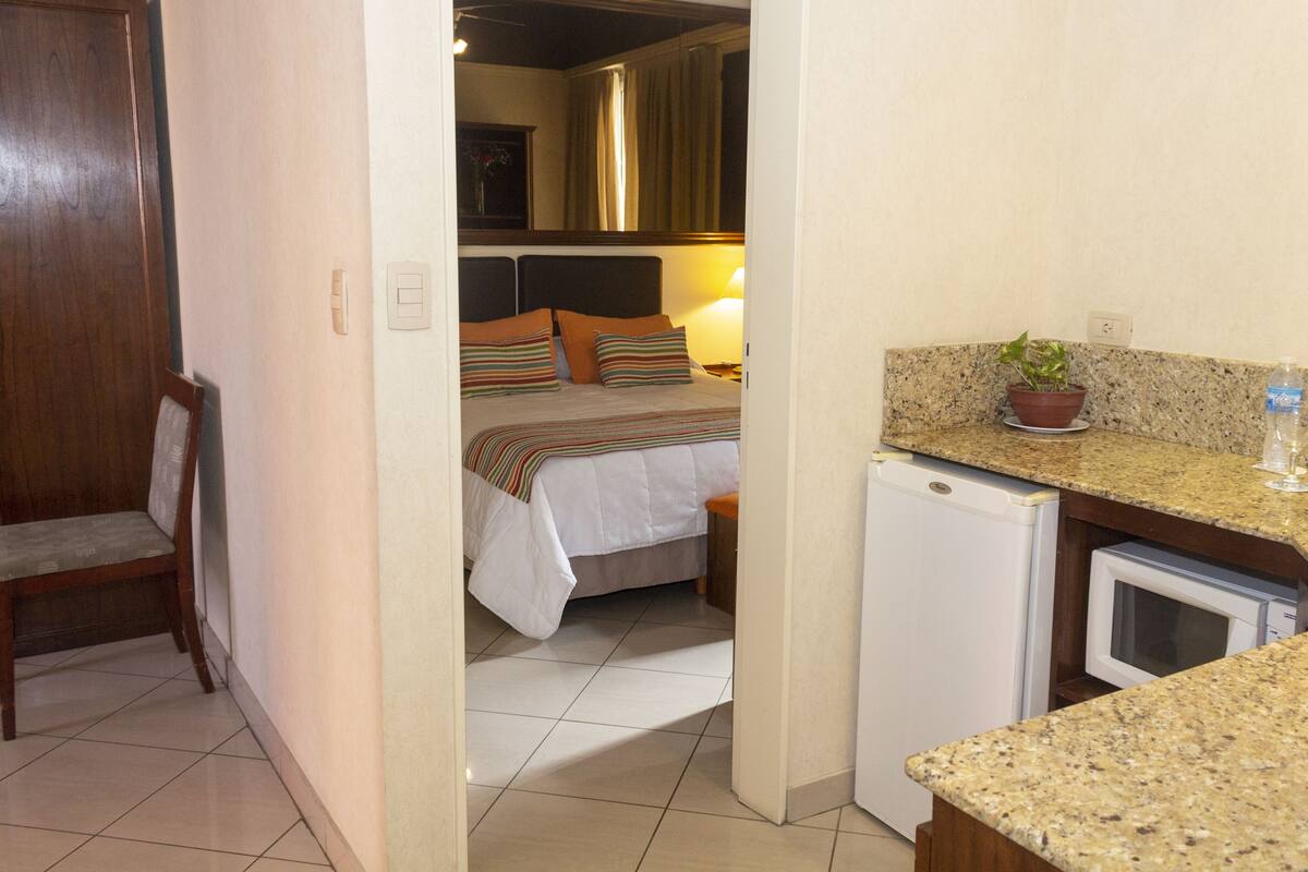 Habitación de hotel con cama, un refrigerador pequeño, microondas, planta en maceta y una silla.