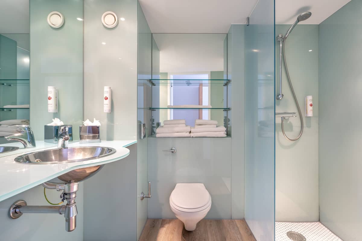 shower, free toiletries, hair dryer, towels