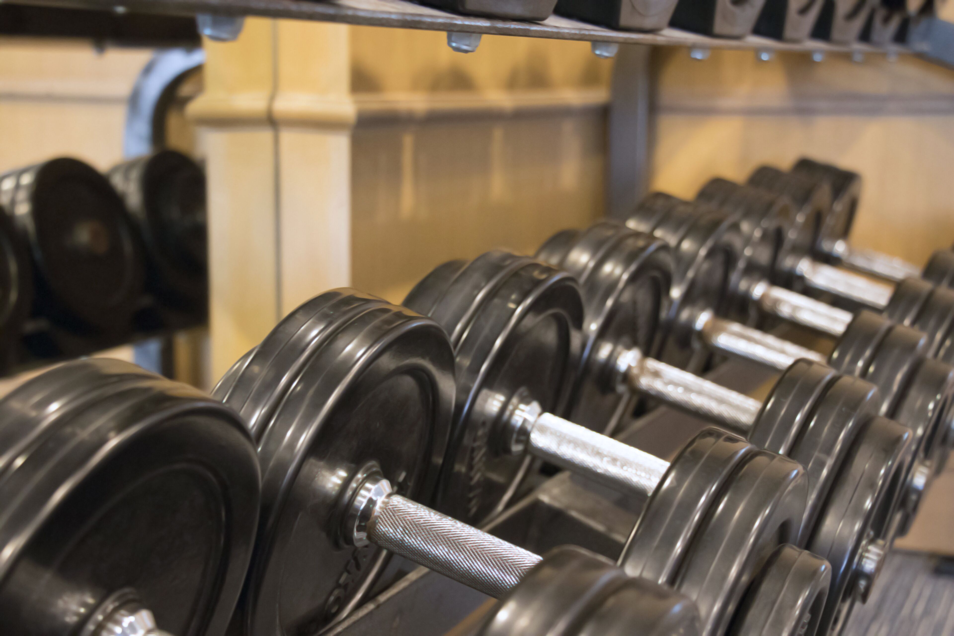 A row of black dumbbells with silver handles on a rack.