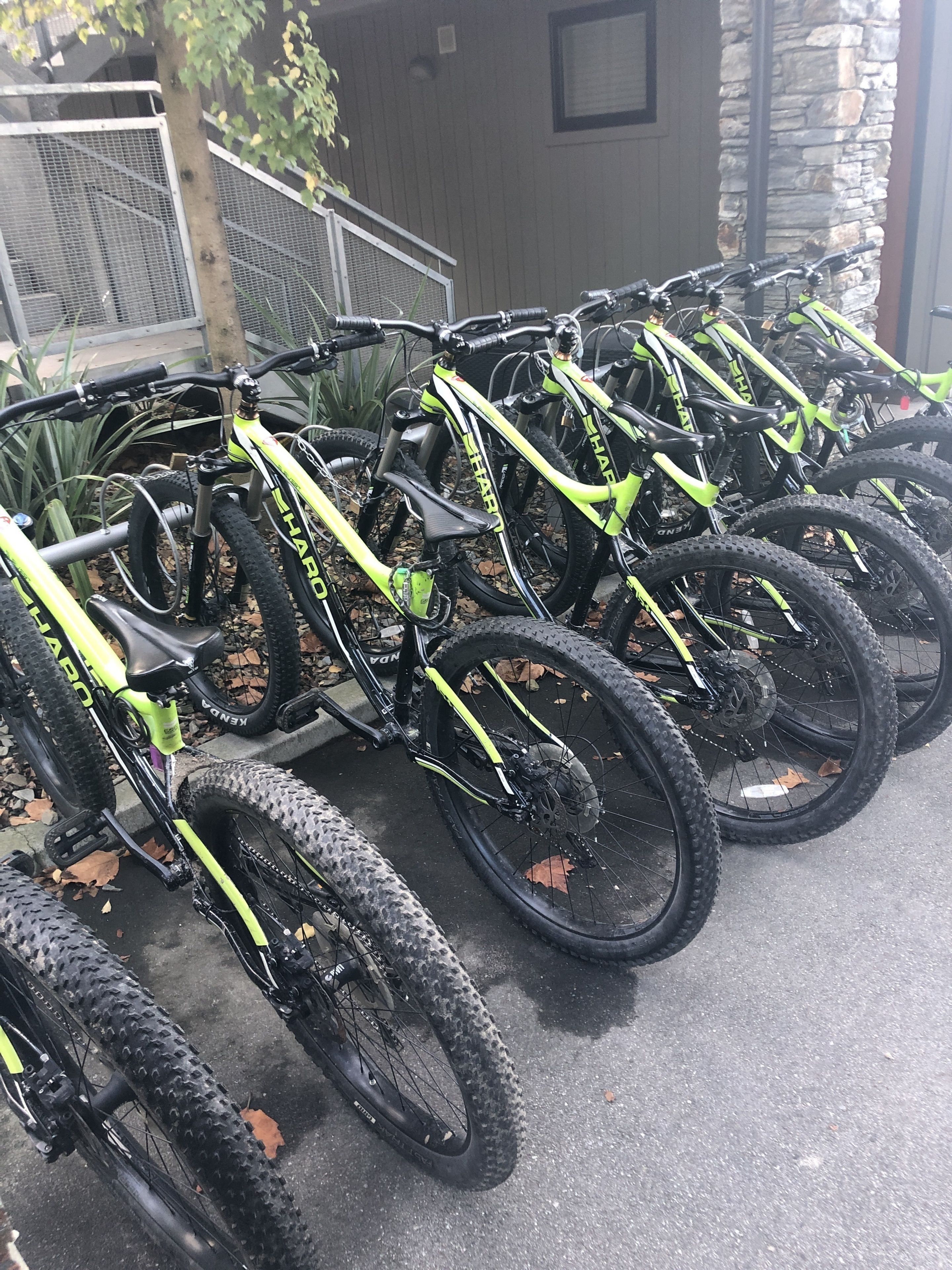 A row of mountain bikes parked outdoors, with a building in the background.