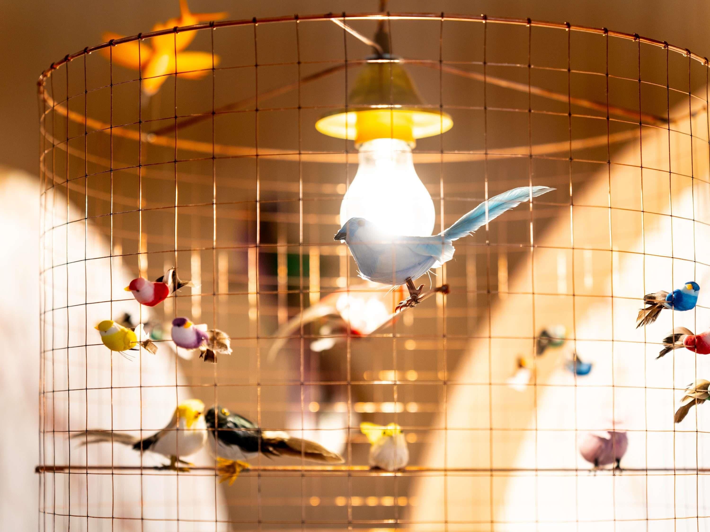 A birdcage with multiple birds and a hanging light fixture.