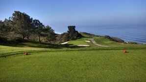A golf course with a clear view of the ocean, a prominent tree, and a well-maintained green. - Andaz San Diego, by Hyatt (San Diego)