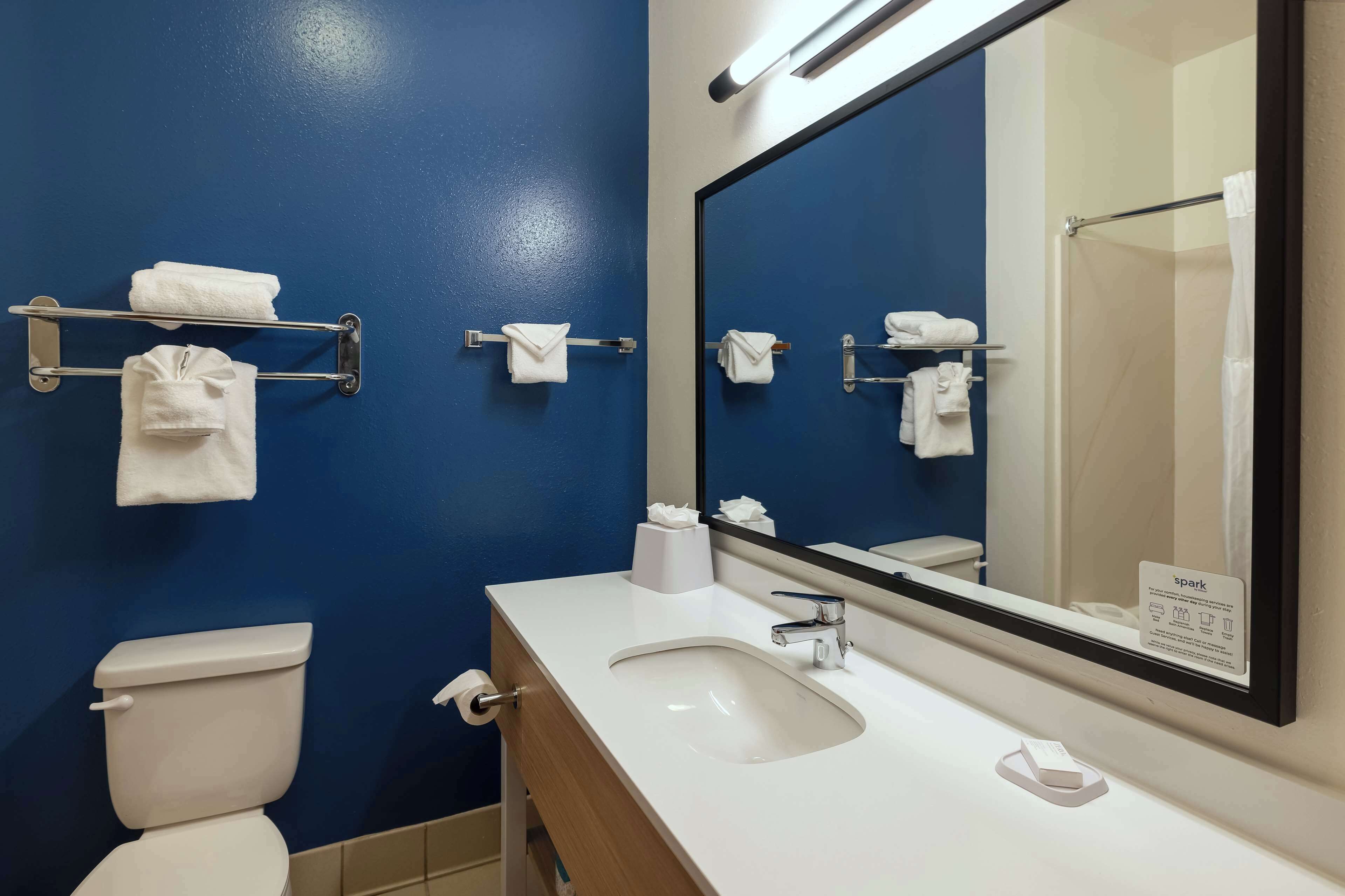 combined shower/bathtub, free toiletries, hair dryer, towels