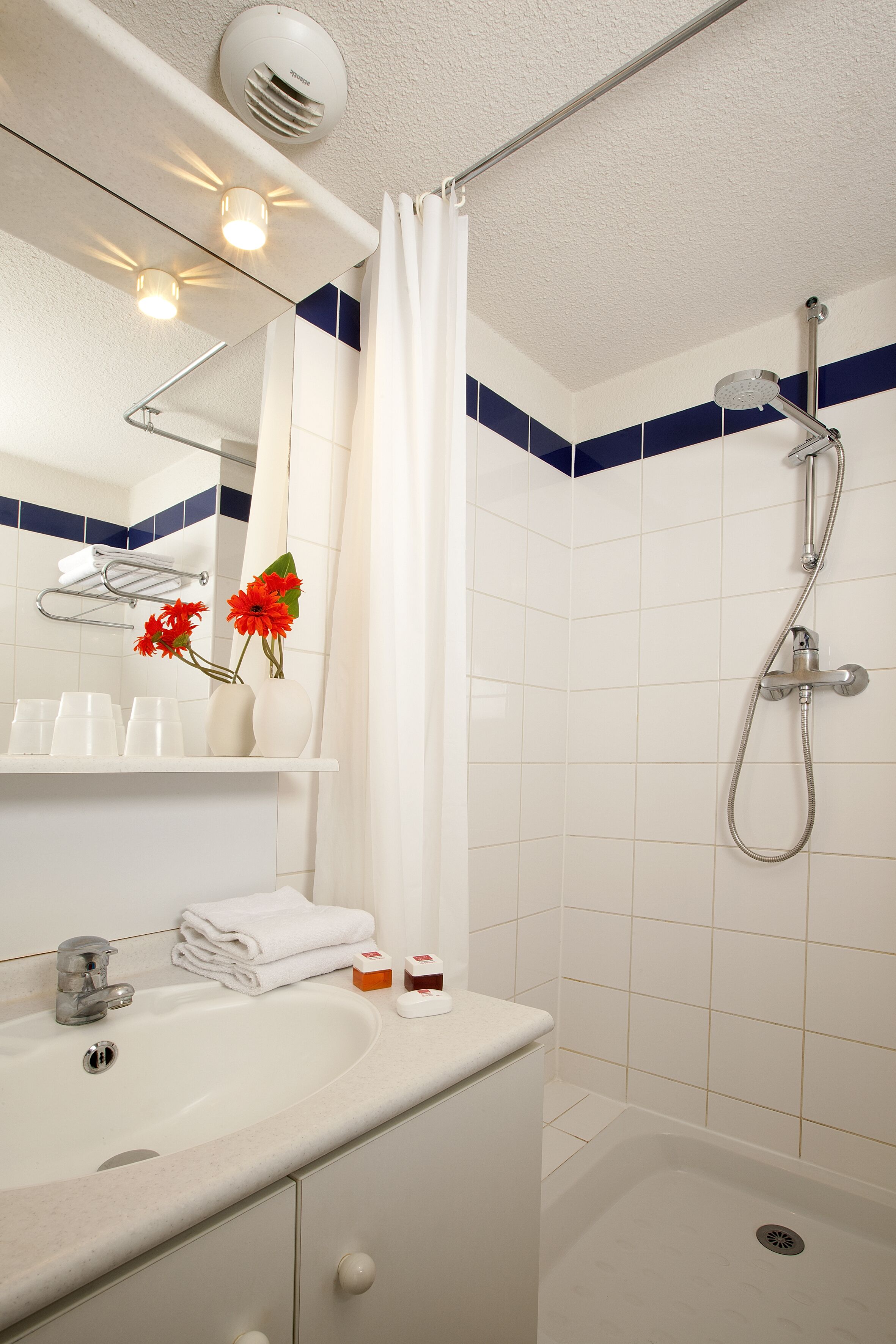 Een badkamer met een witte wastafel, spiegel en douche. Rode bloemen staan in een vaas op het aanrecht.