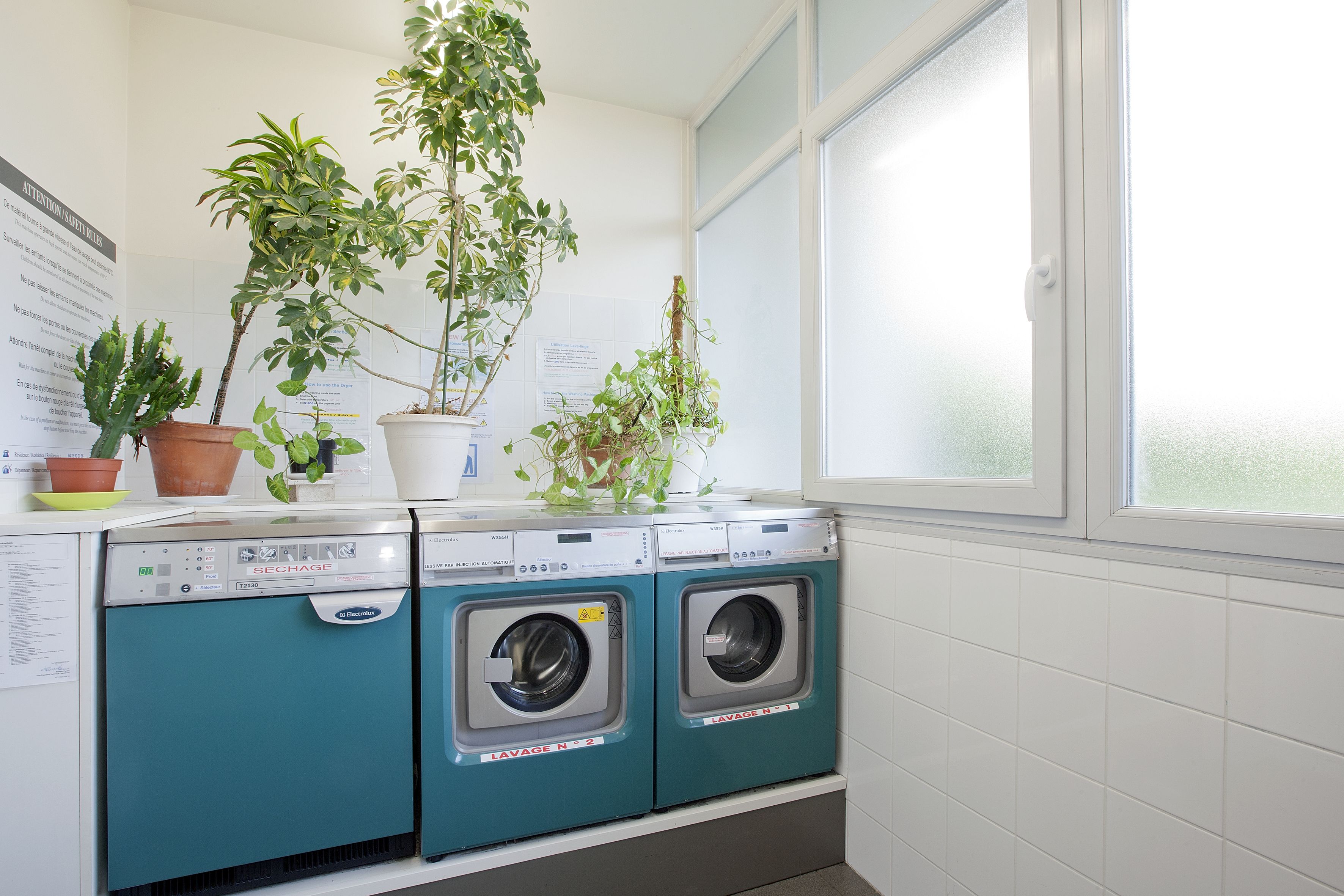 A laundry area with two front-loading washing machines, a drying machine, and several potted plants on top.