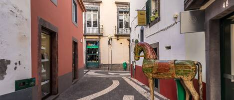 Une rue étroite, ornée d’une statue de cheval, bordée d’immeubles dotés de balcons et où se trouve une boutique avec une enseigne verte.