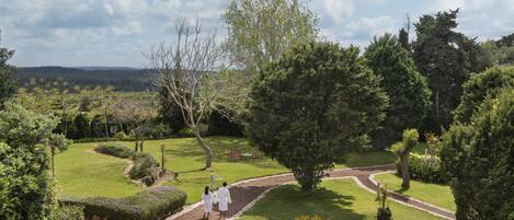 Un jardín arbolado con un sendero sinuoso, un banco y vistas a colinas distantes.