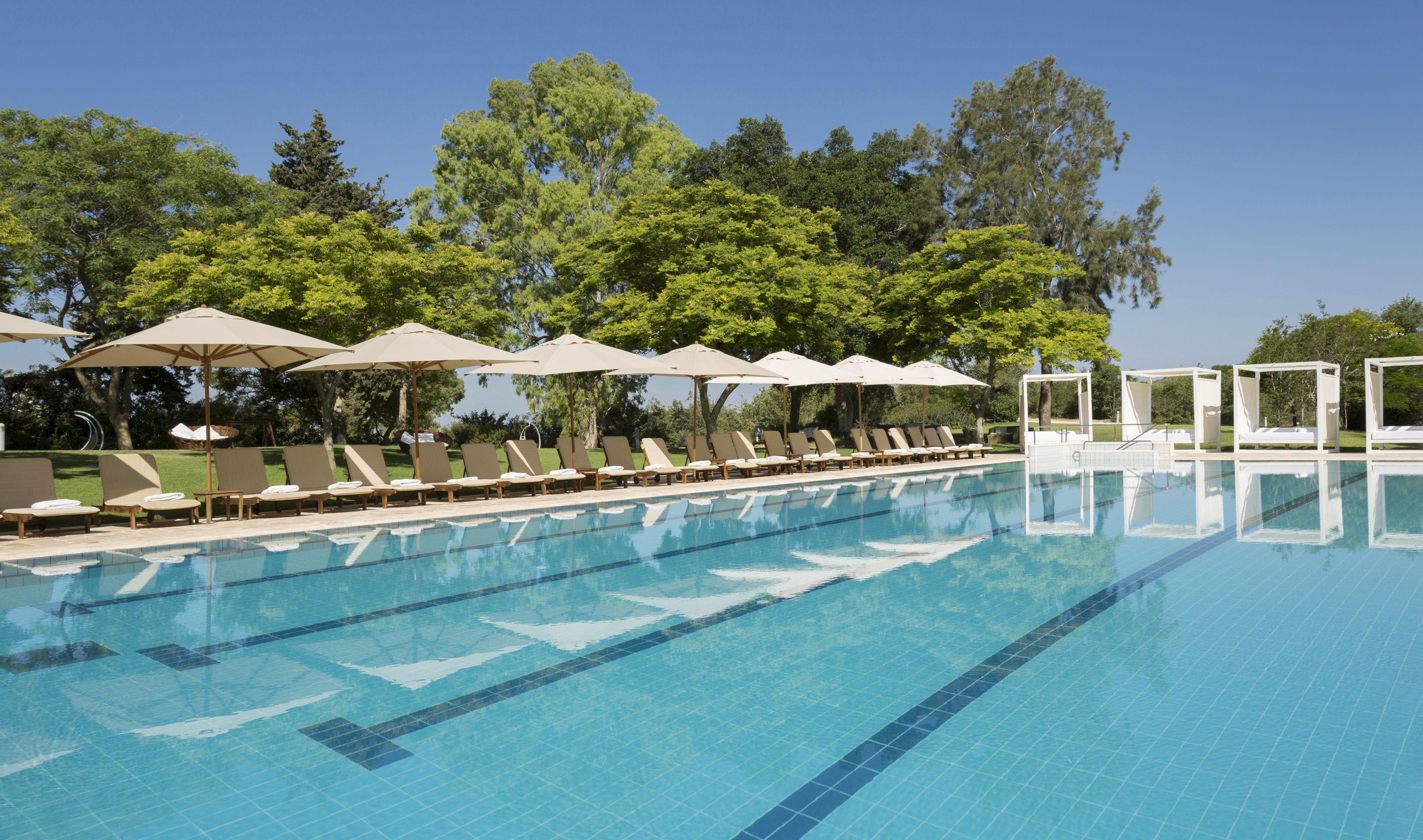 Una piscina con sillas de descanso y sombrillas, rodeada de árboles.