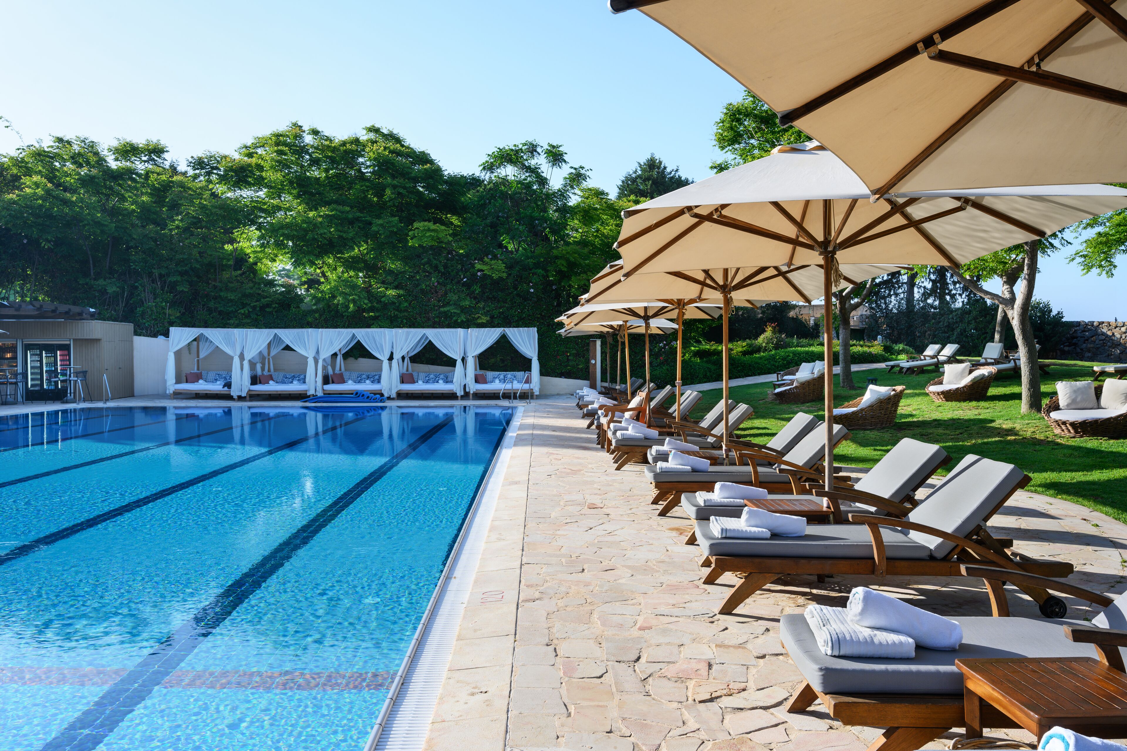 A swimming pool with lounge chairs and umbrellas, surrounded by greenery.