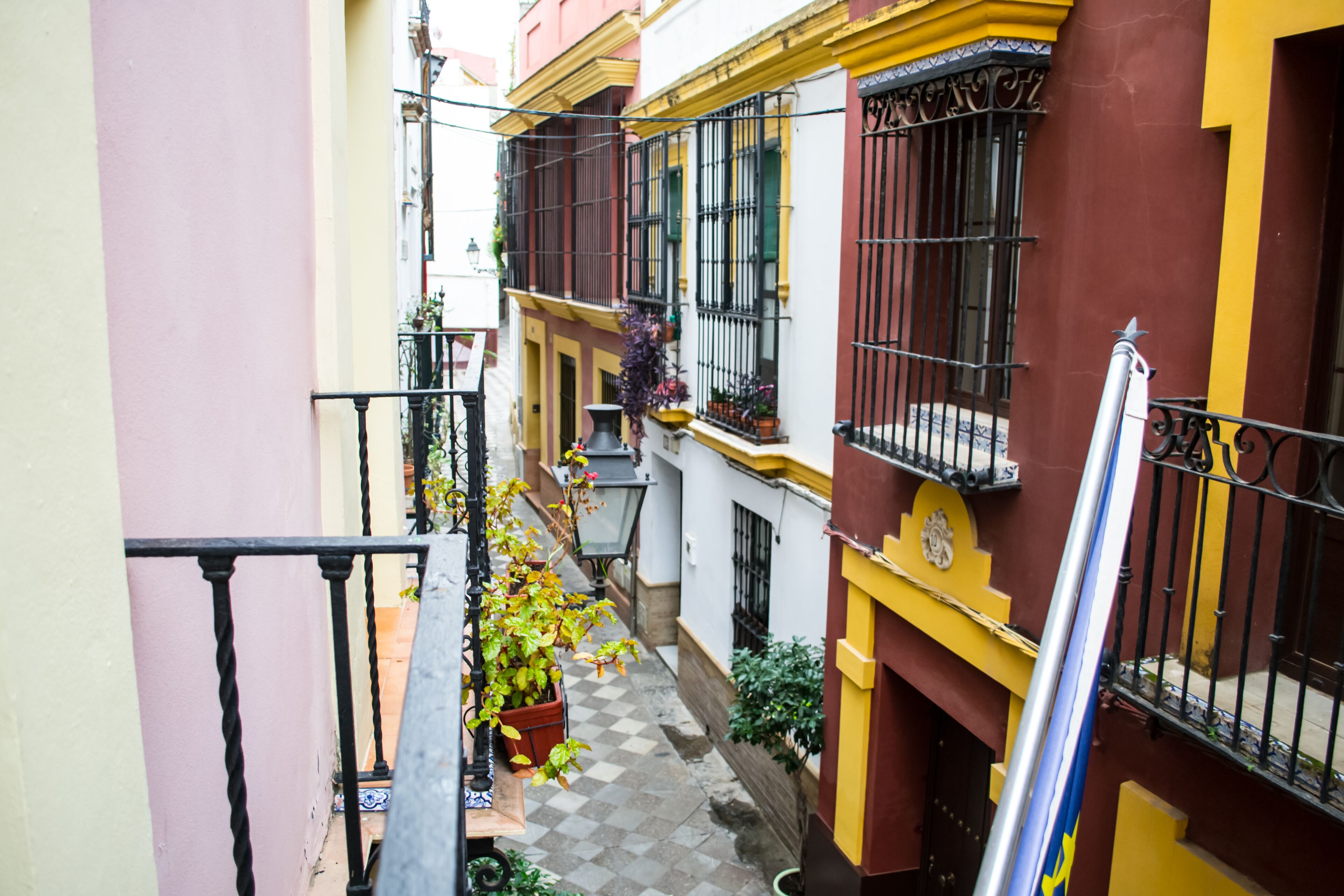 Foto - Un Patio en Santa Cruz
