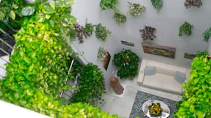 An indoor space with a white wall adorned with various green plants. There is a white sofa with blue cushions, a small table with a vase of flowers, and a statue. - Hotel Un Patio en Santa Cruz (Seville)