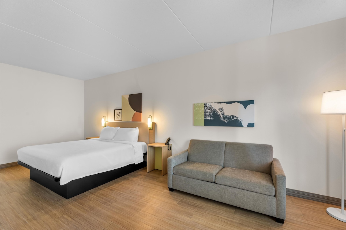 A hotel room with a bed, a sofa, a nightstand, and wall art.