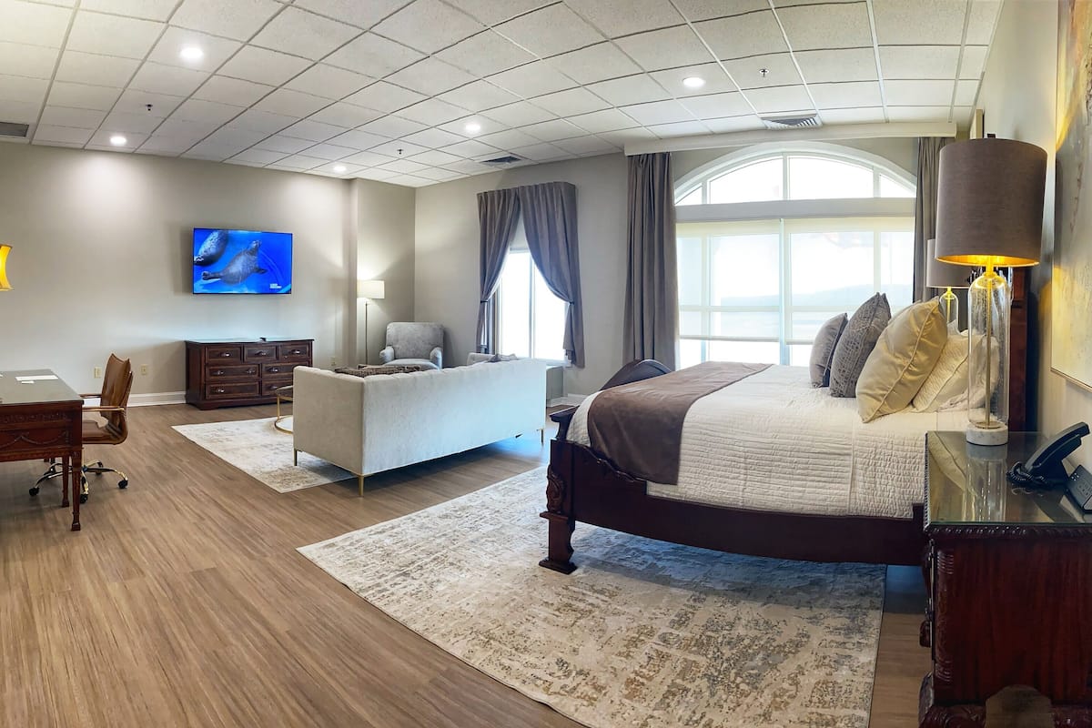 executive studio suite, 1 king bed | living area | plasma tv