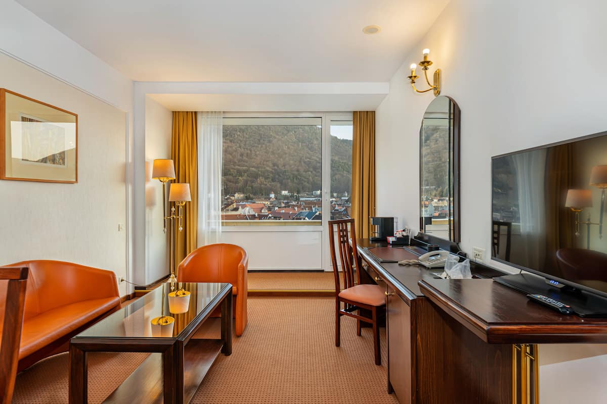 apartment with spa access | 1 bedroom, minibar, in-room safe, desk