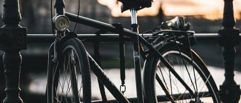 A bicycle parked by a railing with a water body in the background.