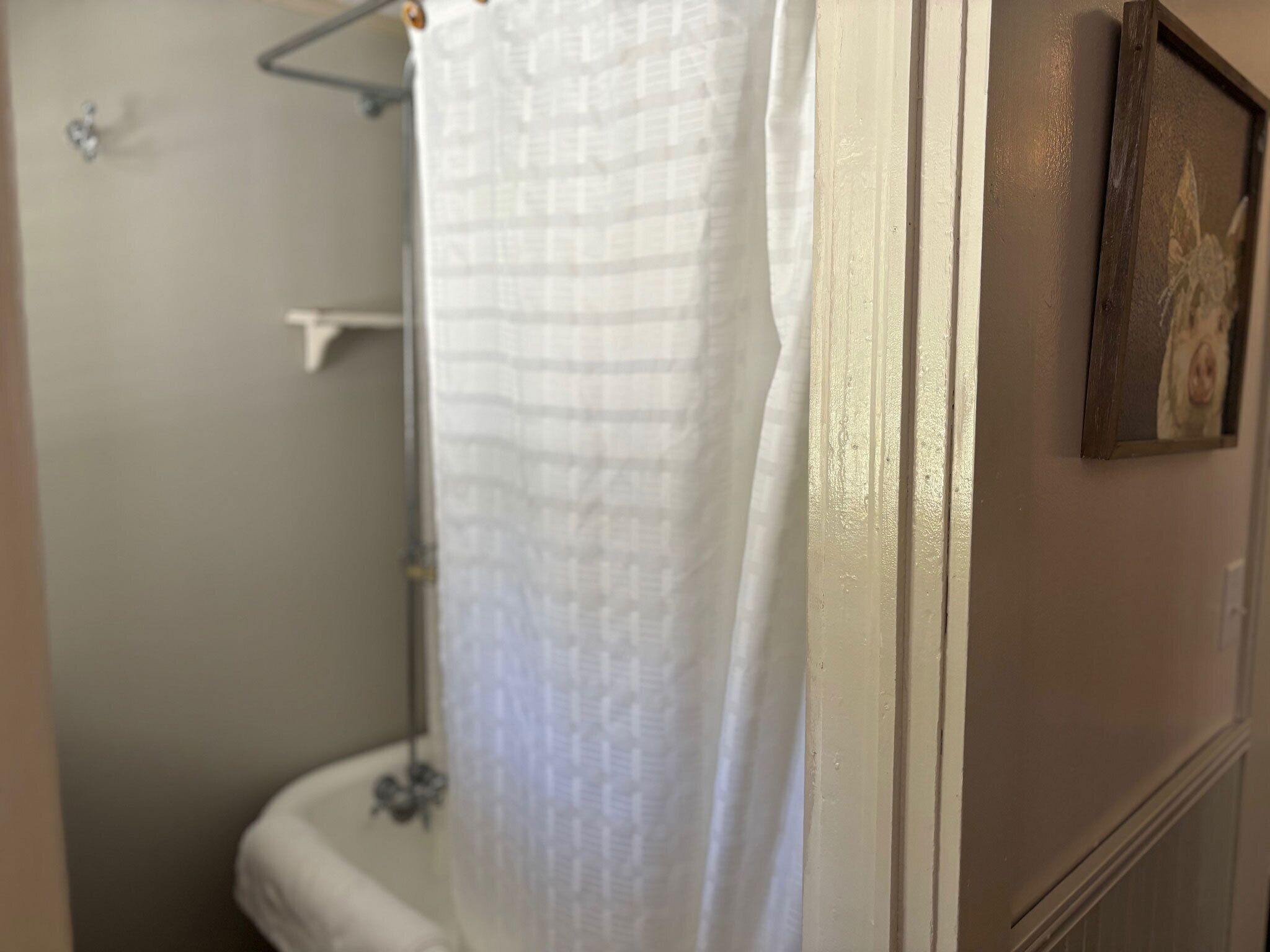 A bathroom with a shower curtain, a toilet, and a framed picture on the wall.