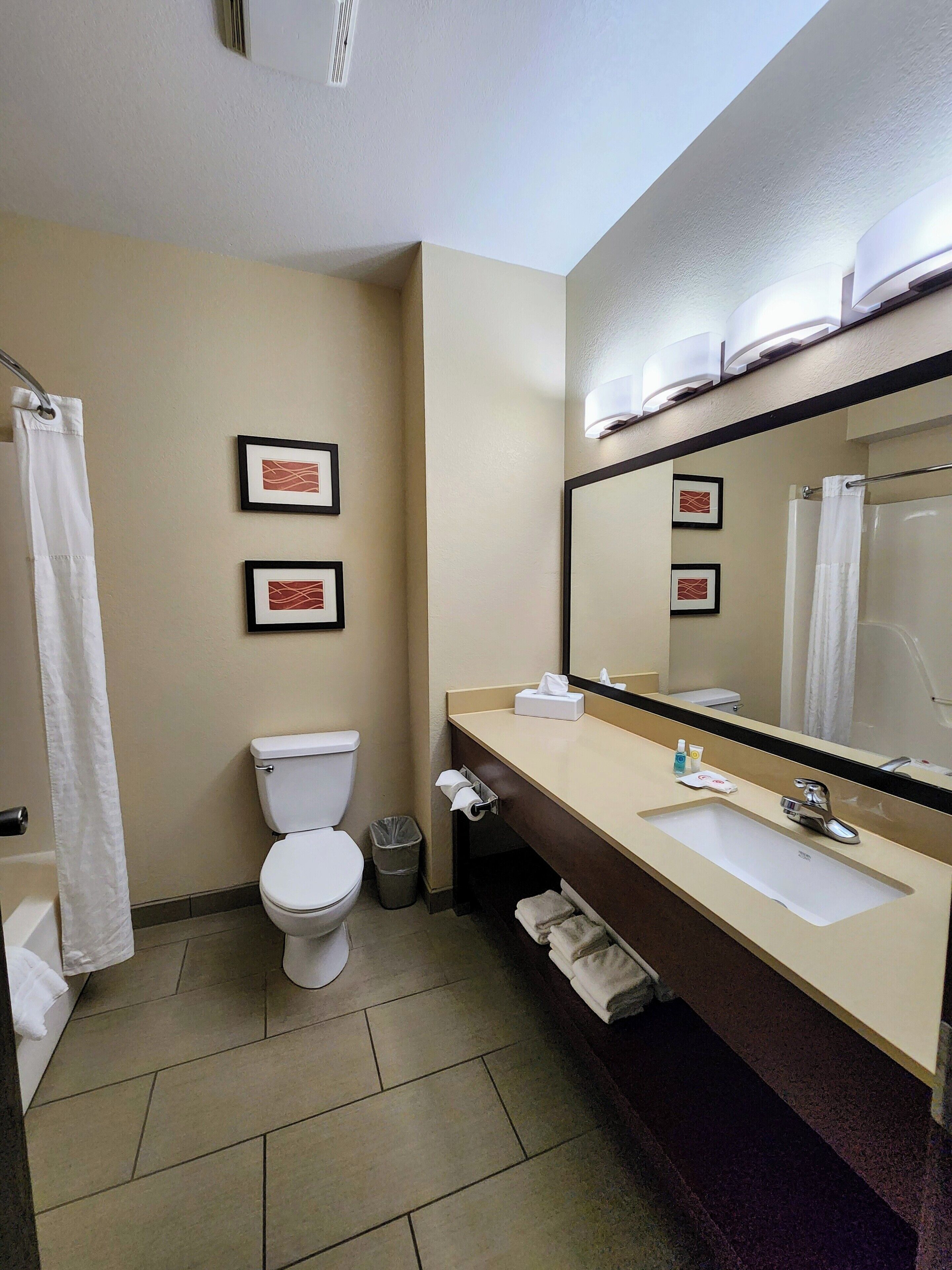 combined shower/bathtub, free toiletries, hair dryer, towels