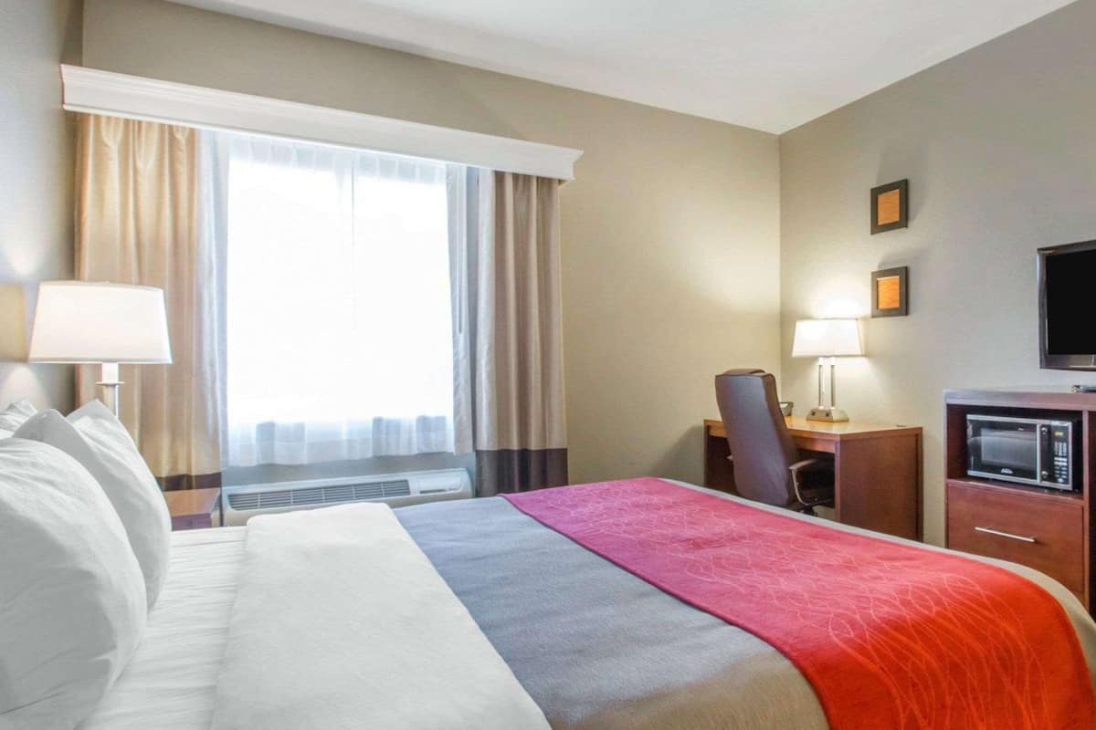 A hotel room with a bed, a desk, a chair, a television, and a microwave.