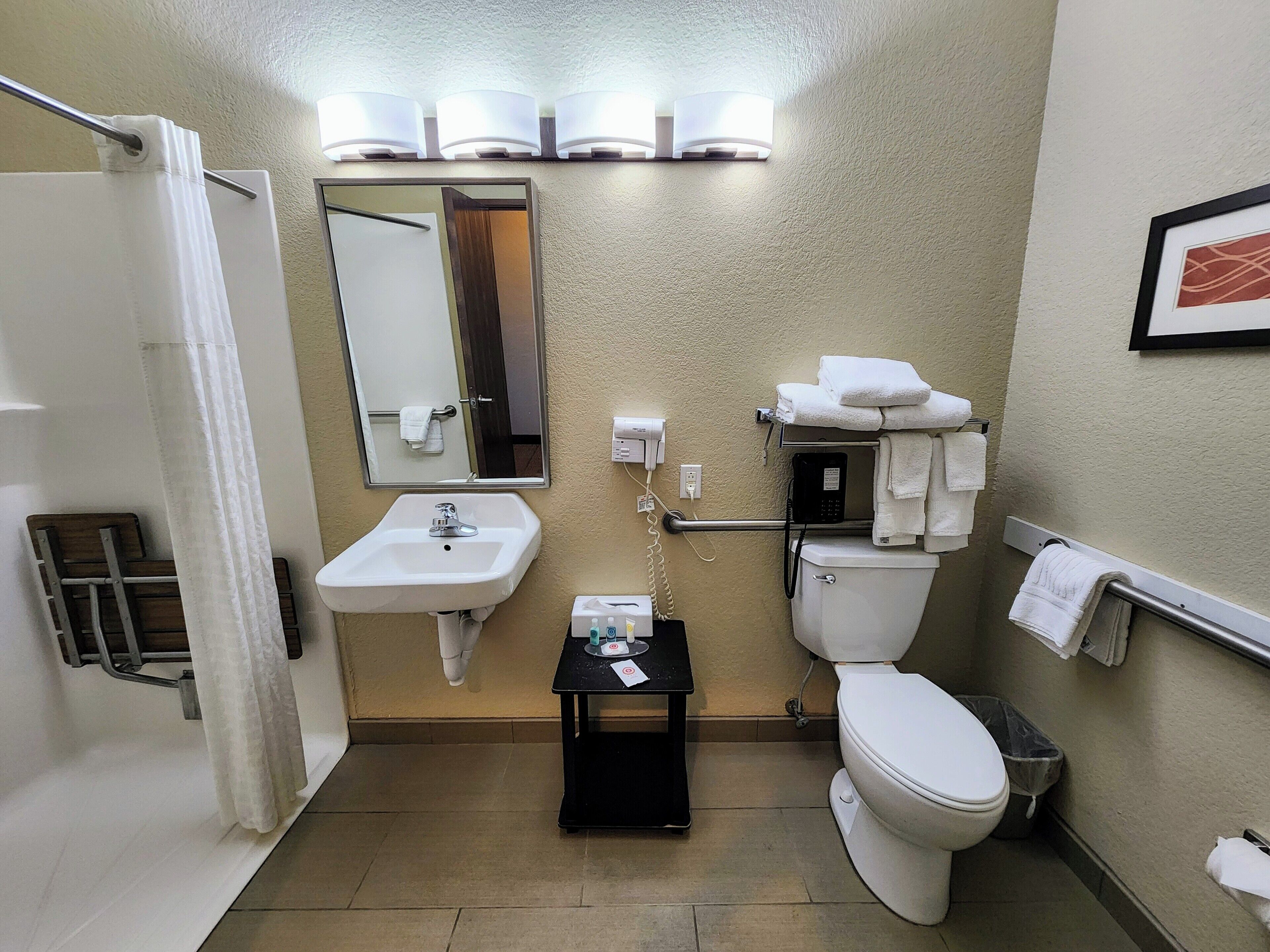 room, 1 king bed, accessible, non smoking | bathroom | combined shower/bathtub, free toiletries, hair dryer, towels
