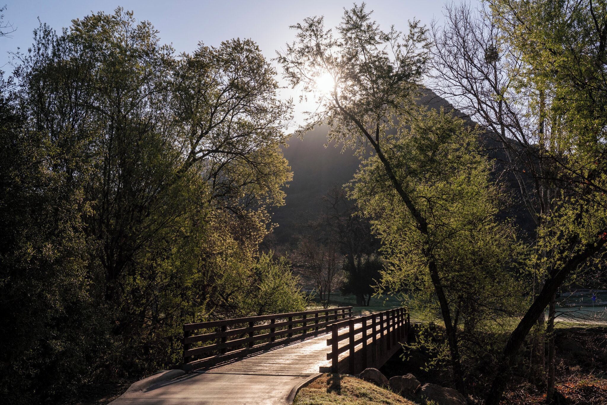 A wooden bridge in a forested area with sunlight filtering through the trees.