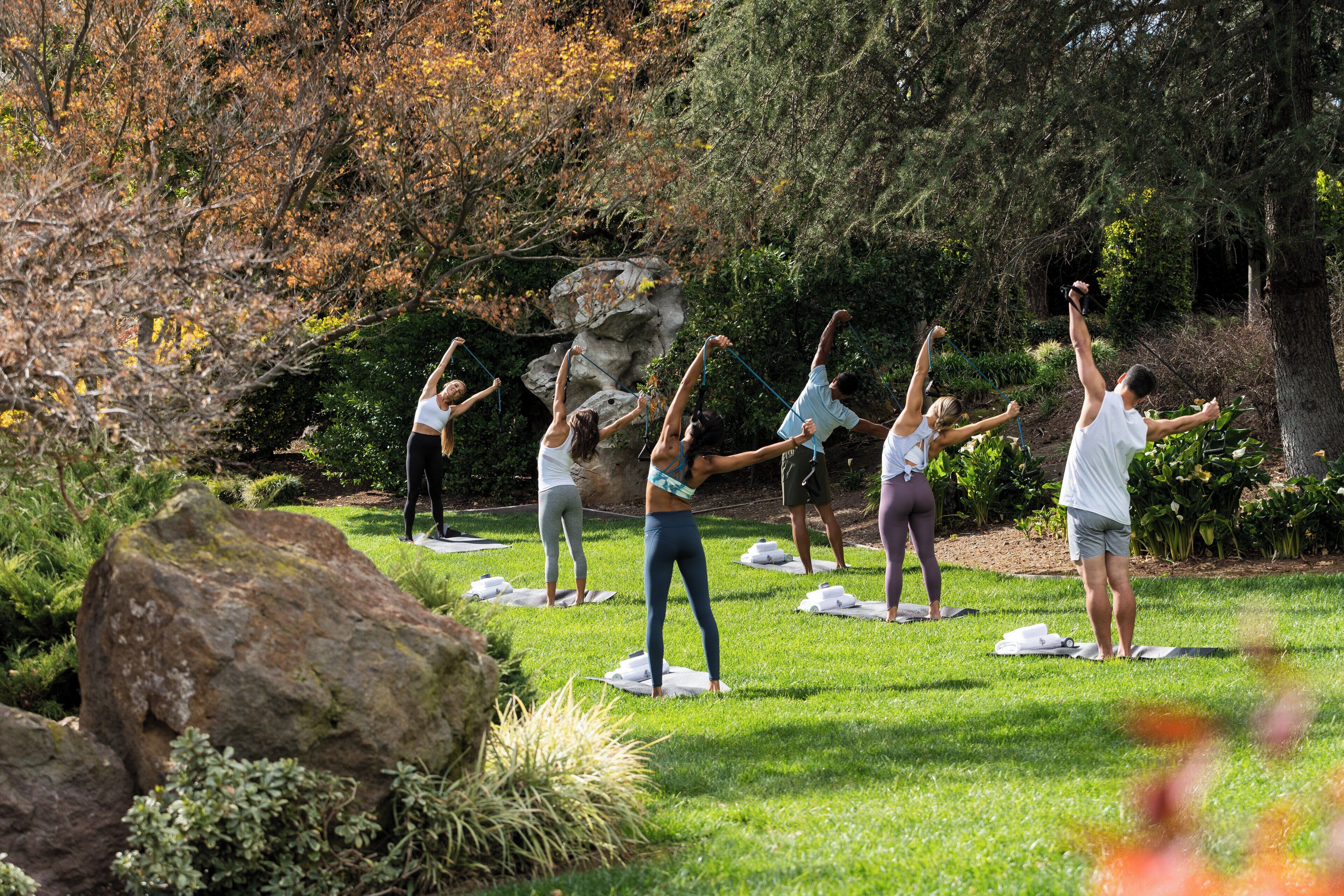 Un groupe de personnes pratiquant le yoga en plein air, sur une pelouse, avec des arbres et des rochers en arrière-plan.