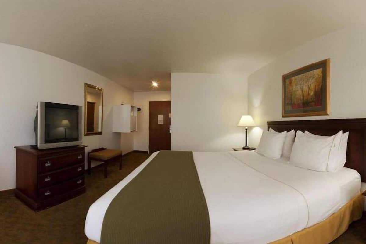 in-room safe, desk, iron/ironing board, free cots/infant beds