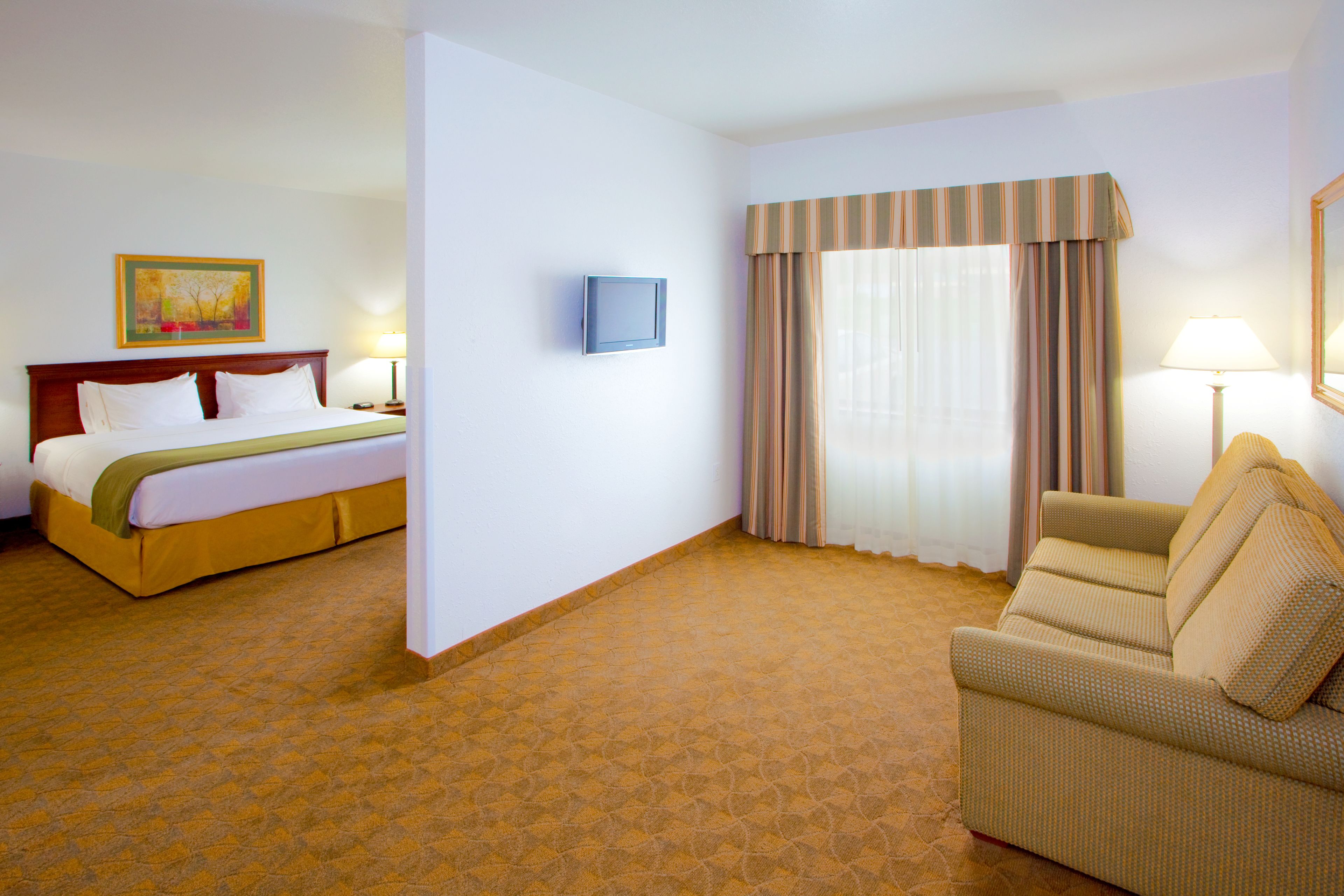 Habitació d'hotel amb llit, televisió, sofà i un quadre a la paret.
