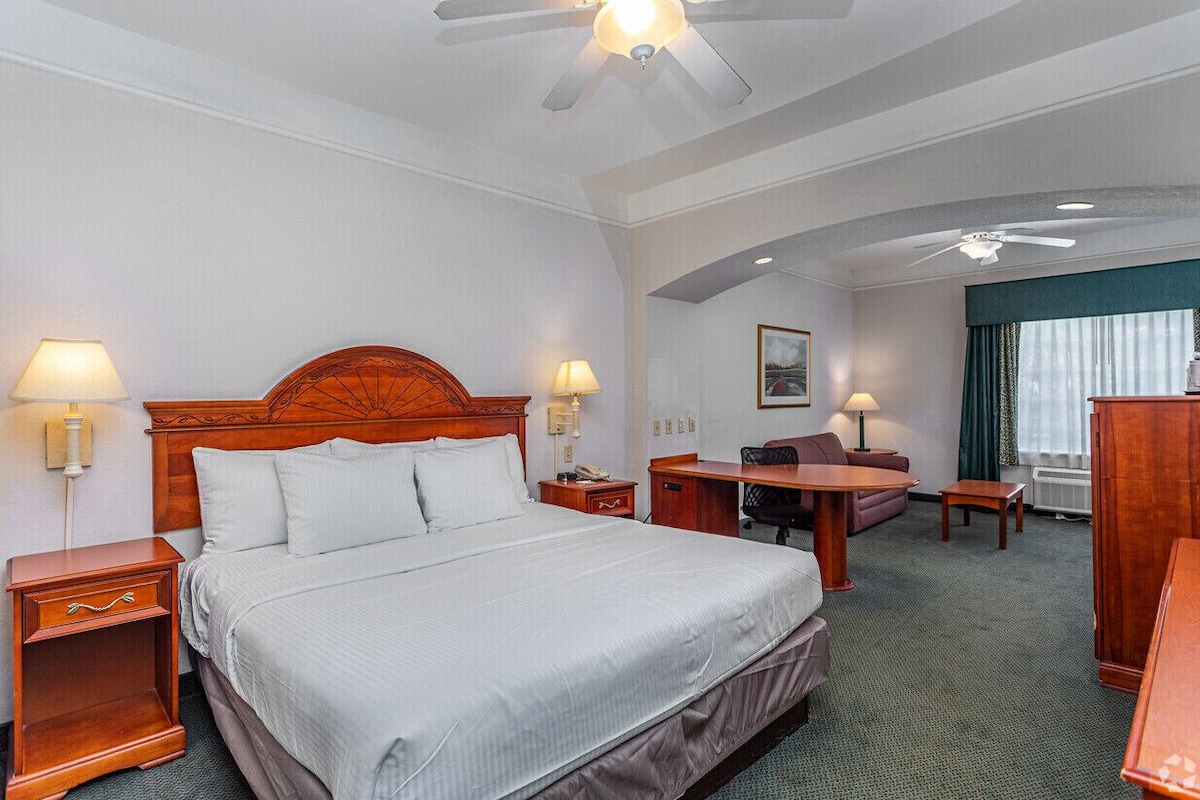 Suite, 1 King Bed, Non Smoking | Premium bedding, desk, laptop workspace, blackout curtains