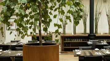 Un restaurante con mesas preparadas para comer, una maceta de madera grande con un árbol y una zona de bar con estantes llenos de copas.
